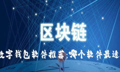 最强数字钱包软件推荐：哪个软件最适合你？