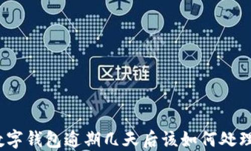 
数字钱包逾期几天后该如何处理？