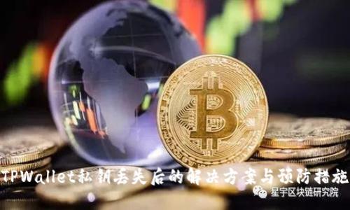 TPWallet私钥丢失后的解决方案与预防措施
