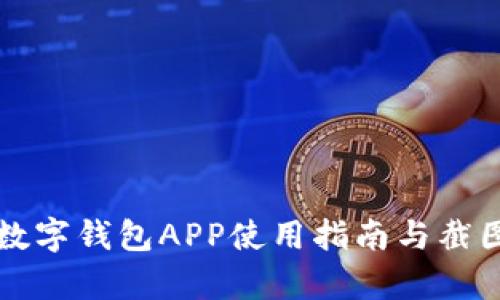 央行数字钱包APP使用指南与截图解析