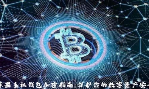 
苹果手机钱包加密指南：保护你的数字资产安全