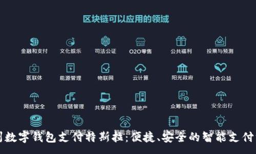 :
苏州数字钱包支付特斯拉：便捷、安全的智能支付方式