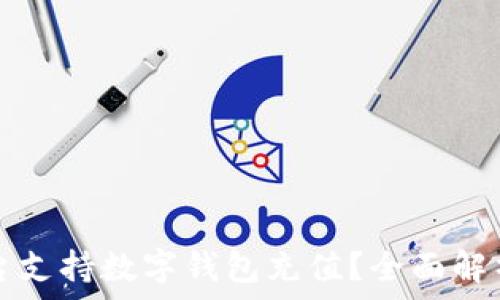   
哪些平台支持数字钱包充值？全面解析与推荐