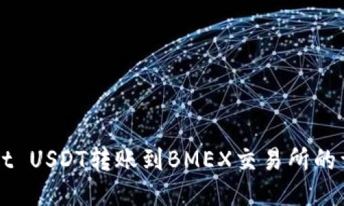 TPWallet USDT转账到BMEX交易所的详细指南