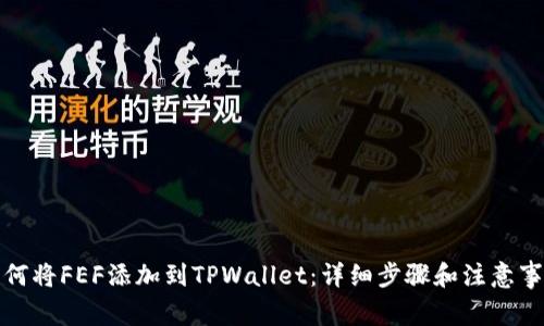 如何将FEF添加到TPWallet：详细步骤和注意事项