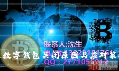 天府通数字钱包关闭原因与应对策略解析