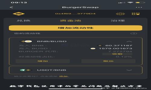 数字钱包使用中的常见问题及解决方案