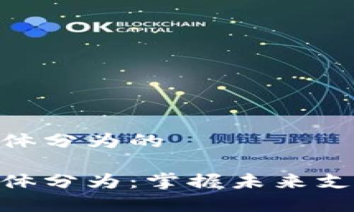 数字钱包按载体分为的

数字钱包按载体分为：掌握未来支付方式的关键