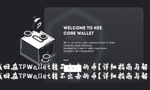 如何找回在TPWallet转不出去的币？详细指南与解决方案
如何找回在TPWallet转不出去的币？详细指南与解决方案