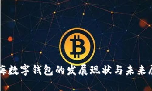 上海数字钱包的发展现状与未来展望