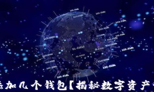 
数字货币可以添加几个钱包？揭秘数字资产管理的最佳实践