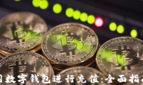 
如何使用数字钱包进行充值：全面指南与技巧