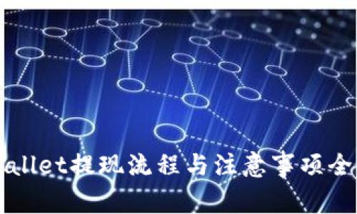 TPWallet提现流程与注意事项全解析