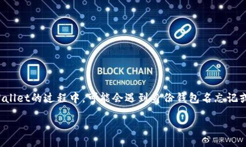 引言

在数字货币的世界中，安全和便捷是用户最关注的两个方面。TPWallet作为一款安全、可靠的数字货币钱包，受到了众多用户的青睐。然而，许多人在使用TPWallet的过程中，可能会遇到身份钱包名忘记或者丢失的情况。如何找回身份钱包名就成了一个亟待解决的问题。本文将深入探讨这一主题，提供详细的步骤和解决方案，以帮助用户快速找回身份钱包名。

如何找回TPWallet身份钱包名：详细指导与实用技巧