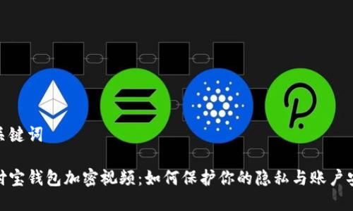 和关键词

支付宝钱包加密视频：如何保护你的隐私与账户安全