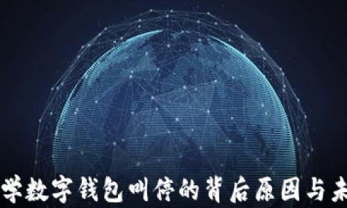 
清华大学数字钱包叫停的背后原因与未来展望