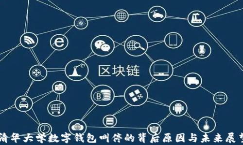 
清华大学数字钱包叫停的背后原因与未来展望