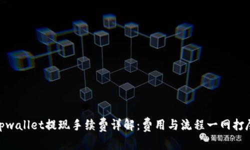 tpwallet提现手续费详解：费用与流程一网打尽