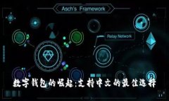 数字钱包的崛起：支持中文的最佳选择