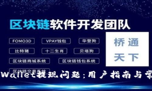 如何解决TPWallet提现问题：用户指南与常见故障排查
