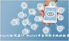 briaoti如何在TP Wallet中查询持币地址数