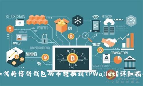 如何将博饼钱包的币转换到TPWallet？详细指南