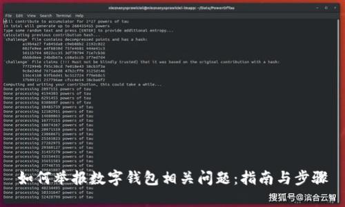 如何举报数字钱包相关问题：指南与步骤