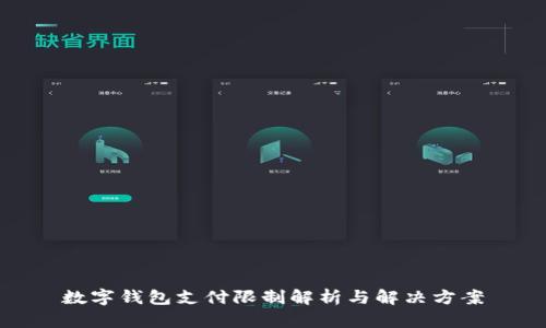 数字钱包支付限制解析与解决方案