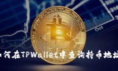 如何在TPWallet中查询持币地址？