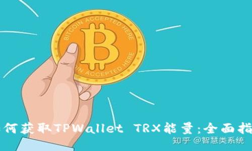 如何获取TPWallet TRX能量：全面指南