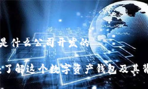 tpwallet是什么公司开发的

tpwallet：了解这个数字资产钱包及其背后的公司