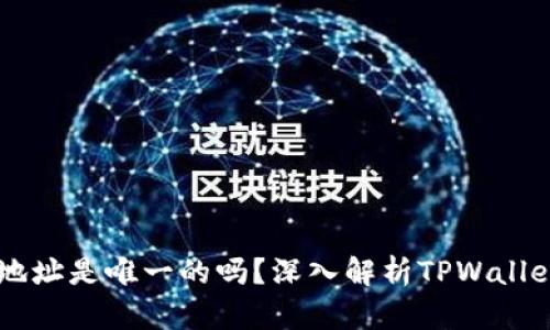 TPWallet的地址是唯一的吗？深入解析TPWallet的地址特点