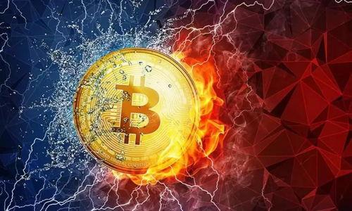 

区块链钱包中的企业：如何选择安全而高效的数字资产管理工具