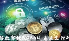 深入了解数字钱包IBAM：未来支付的新