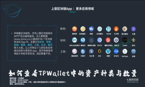 如何查看TPWallet中的资产种类与数量