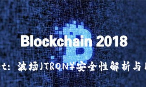 TPWallet: 波场（TRON）安全性解析与用户指南