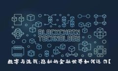 数字与洗钱：隐秘的金融世界如何运作